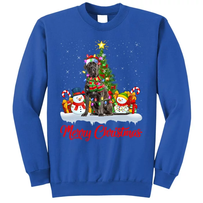 Cane Corso Dog Xmas Tree Lighting Santa Cane Corso Christmas Gift Tall Sweatshirt