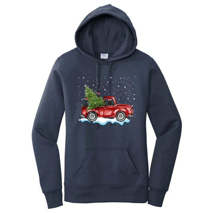 Cane Corso Dogs Ride Red Truck Christmas Gift Funny Xmas Funny Gift Women's Pullover Hoodie