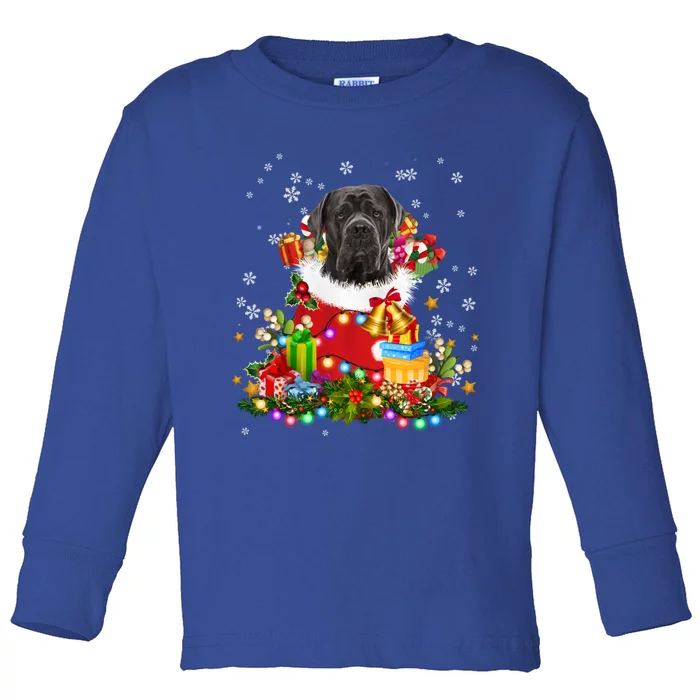 Cane Corso Dog Christmas Tree Lights Pajamas Xmas Matching Great Gift Toddler Long Sleeve Shirt