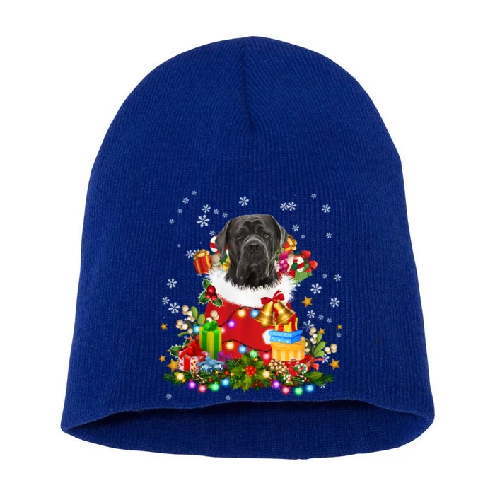 Cane Corso Dog Christmas Tree Lights Pajamas Xmas Matching Great Gift Short Acrylic Beanie