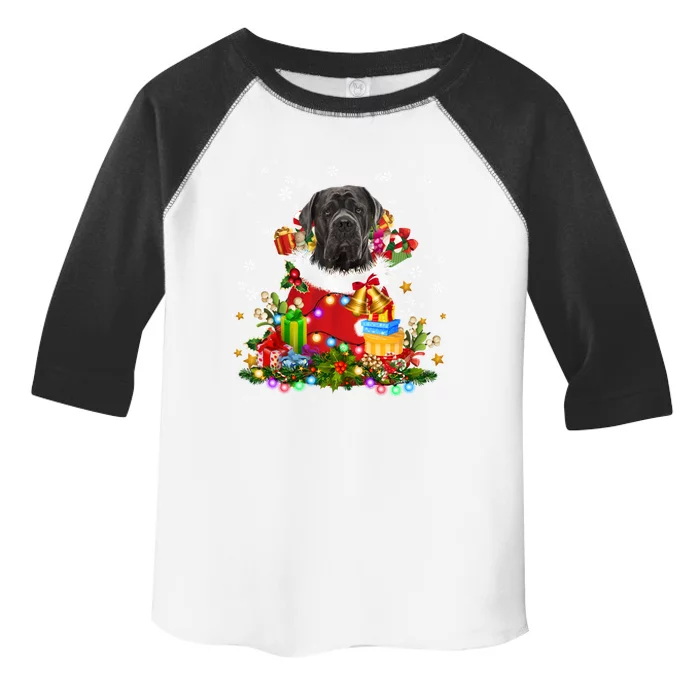 Cane Corso Dog Christmas Tree Lights Pajamas Xmas Matching Great Gift Toddler Fine Jersey T-Shirt