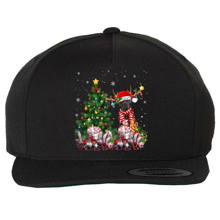 Cane Corso Dog Christmas Tree Lights Santa Pajamas Xmas Gift Wool Snapback Cap