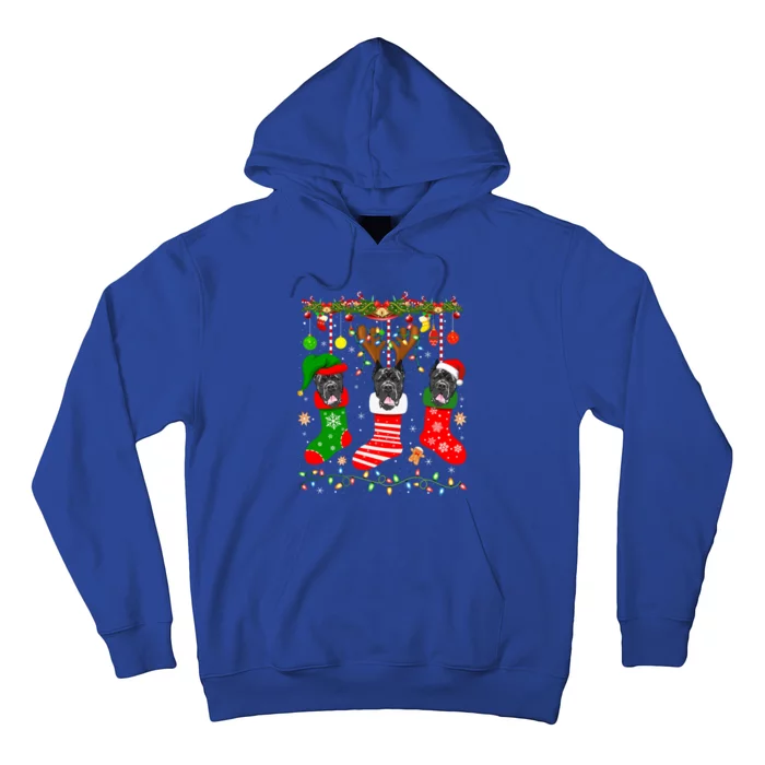 Cane Corso Dog In Christmas Socks Lights Xmas Gift Hoodie