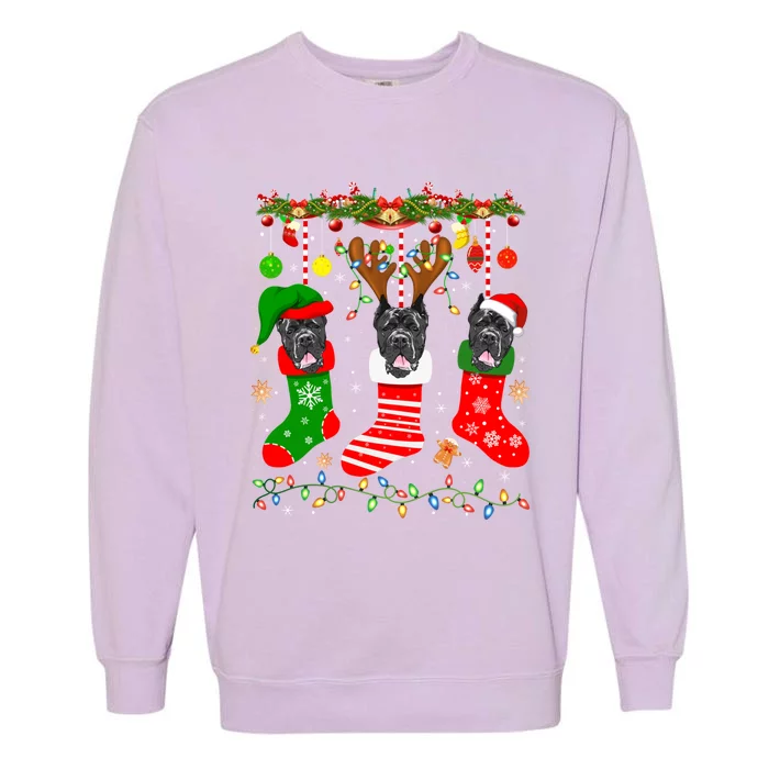 Cane Corso Dog In Christmas Socks Lights Xmas Gift Garment-Dyed Sweatshirt