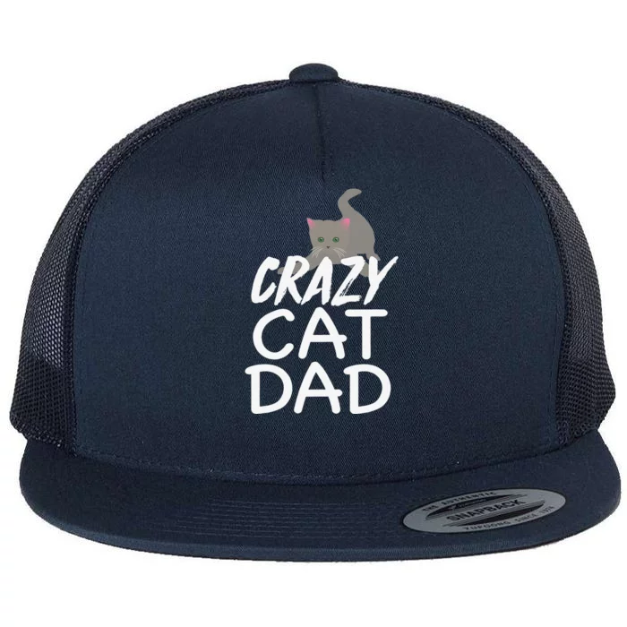 Crazy Cat Dad Funny Fathers Day Kitten Dads Tee Flat Bill Trucker Hat