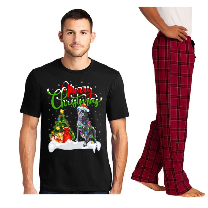 Cane Corso Dog Lover Xmas Lighting Cane Corso Christmas Gift Pajama Set