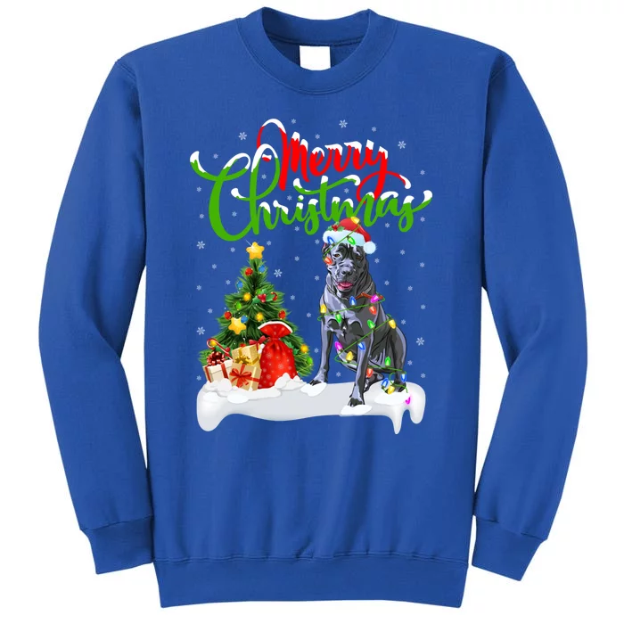 Cane Corso Dog Lover Xmas Lighting Cane Corso Christmas Gift Tall Sweatshirt