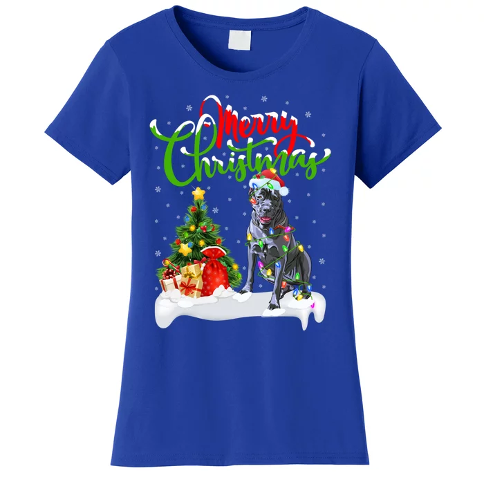 Cane Corso Dog Lover Xmas Lighting Cane Corso Christmas Gift Women's T-Shirt