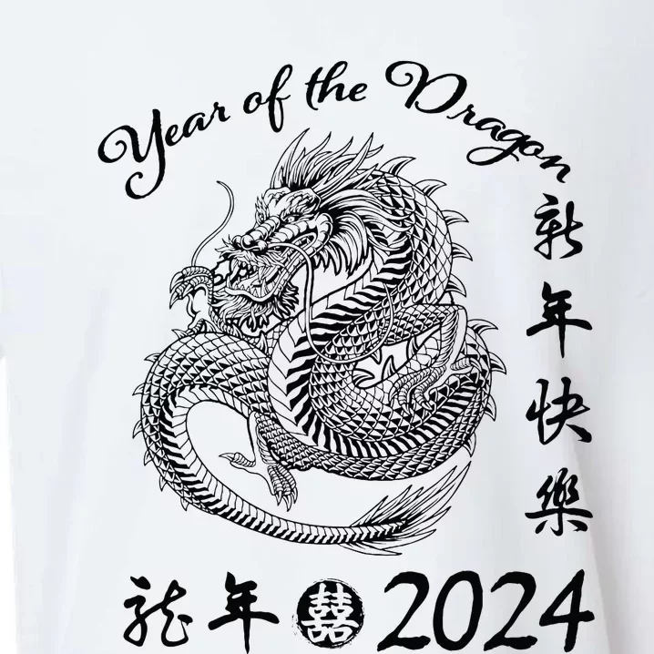 Chinese Calendar Dragon Year Happy New Year 2024 Sueded Cloud Jersey T-Shirt