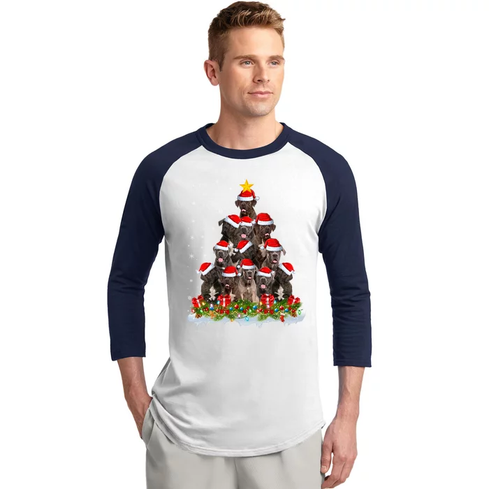 Cane Corso Dog Lover Xmas Tree Santa Christmas Cane Corso Gift Baseball Sleeve Shirt