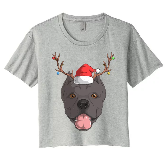 Cane Corso Dog Santa Claus Christmas Xcool Giftmas Canine Gift Women's Crop Top Tee