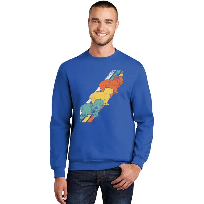 Capybara Capybaras Funny Animal Lover Sweatshirt