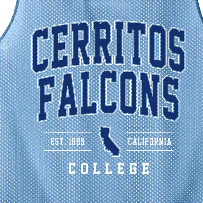 Cerritos College F.A.L.C.O.N.S Arch Mesh Reversible Basketball Jersey Tank