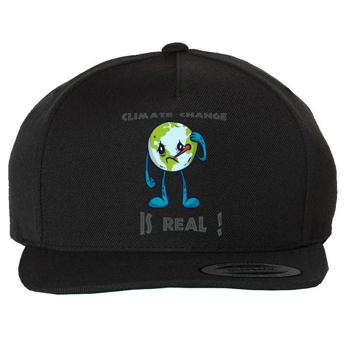 Climate Change For Conservationists Gift Wool Snapback Cap