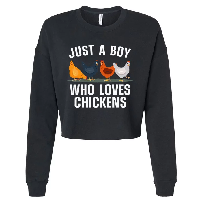 Cute Chicken Farming Chicken Lover Cropped Pullover Crew