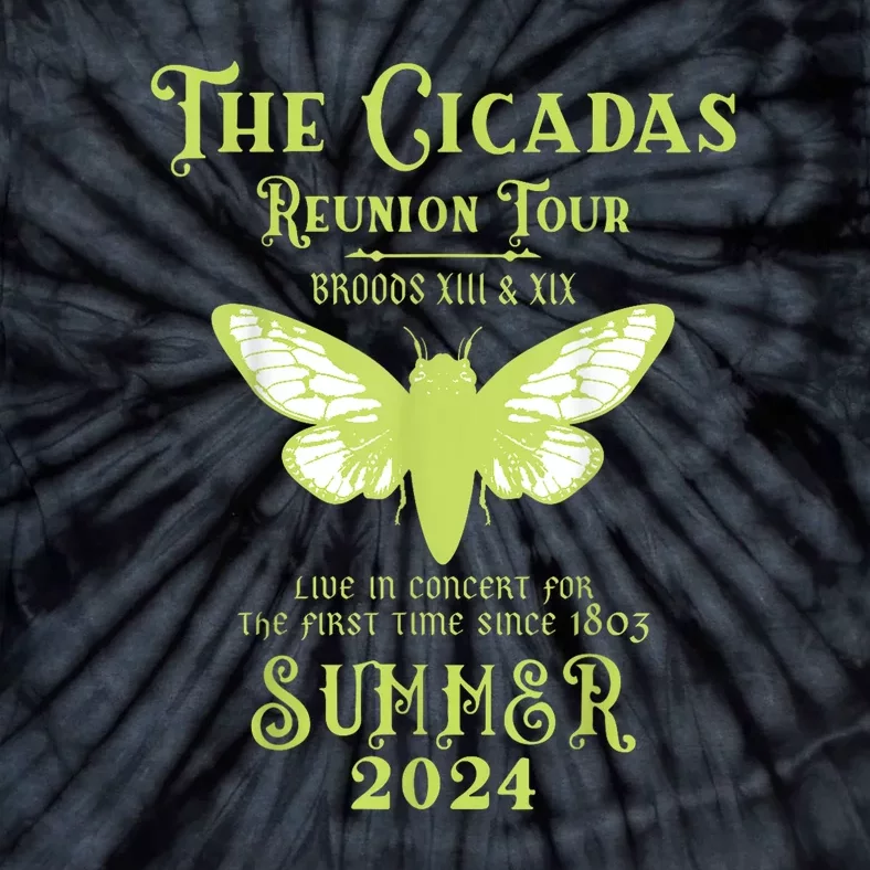 Cicada Concert Fest Lover The Cicada Reunion U.S Tours 2024 Gift Tie-Dye T-Shirt