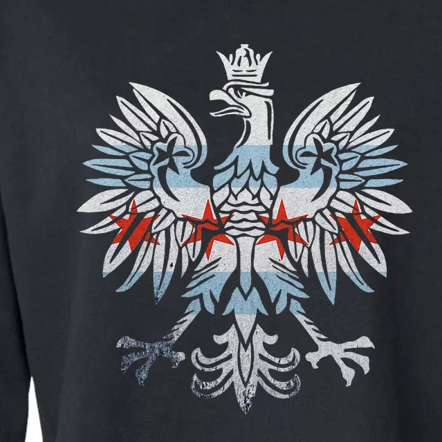 Cool Chicago Flag Polish Eagle Funny Illinois Emblem Cropped Pullover Crew