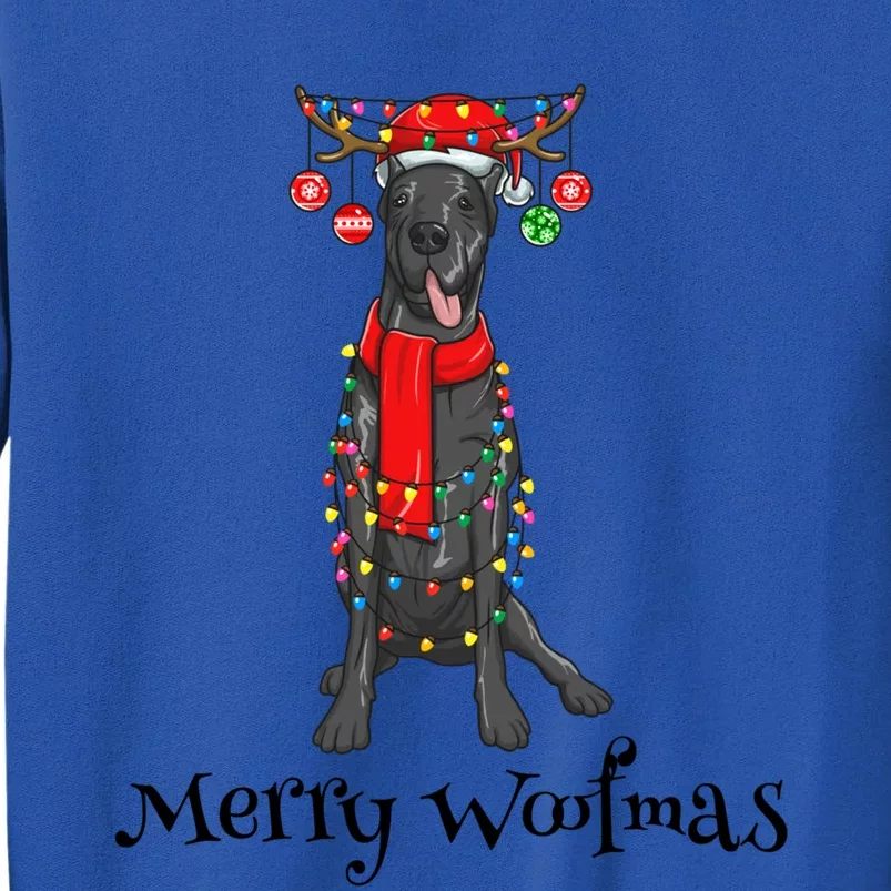 Christmas Cute Great Dane Dog Holiday Lights Merry Woofmas Gift Tall Sweatshirt