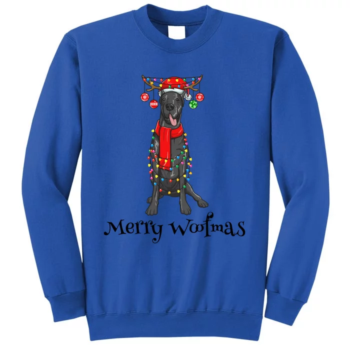 Christmas Cute Great Dane Dog Holiday Lights Merry Woofmas Gift Tall Sweatshirt