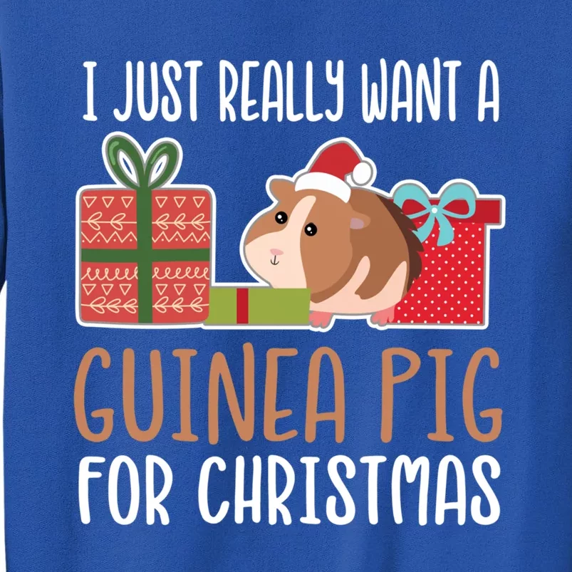 Cute Christmas Guinea Pig Owner I Want A Guinea Pig Gift Sweatshirt