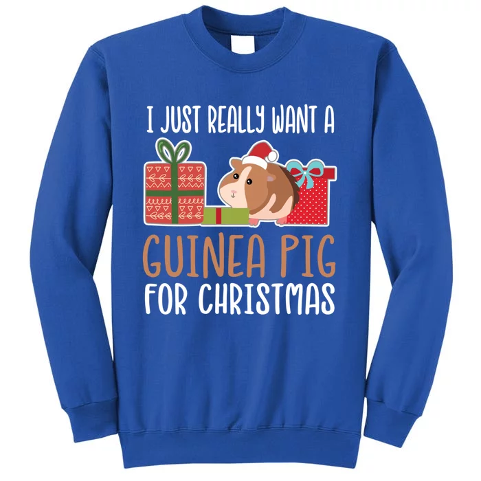 Cute Christmas Guinea Pig Owner I Want A Guinea Pig Gift Sweatshirt