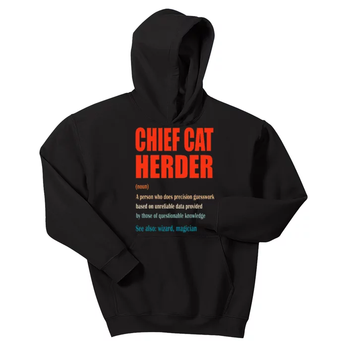 Chief Cat Herder Vintage Definition Wizard Magician Kids Hoodie