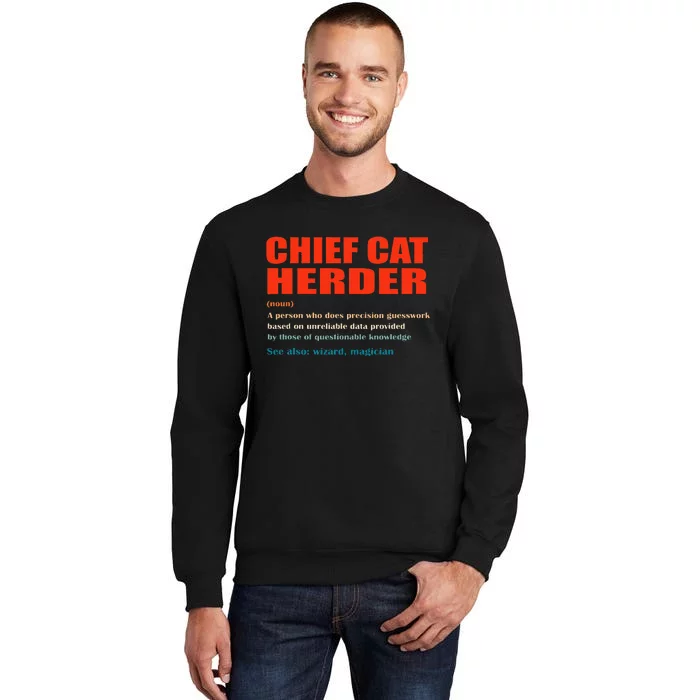 Chief Cat Herder Definition Wizard Magician Sweatshirt