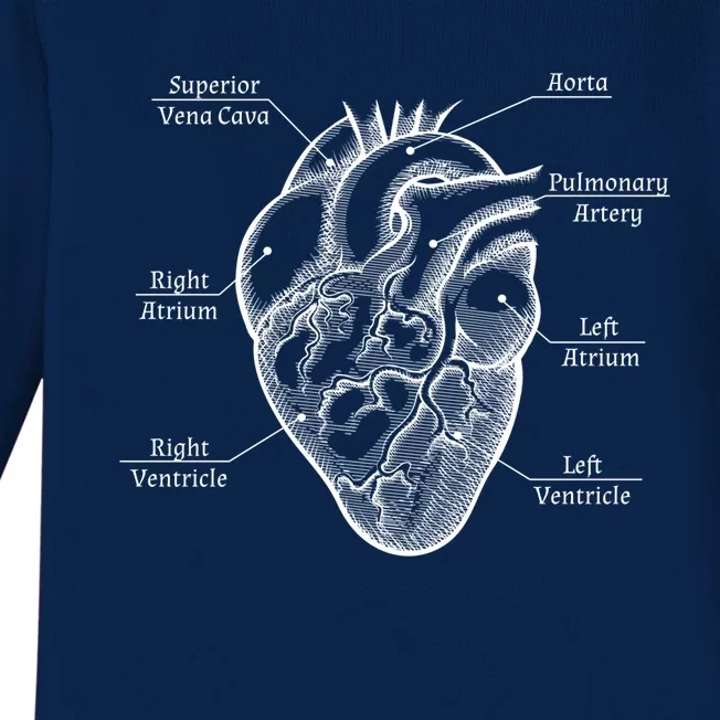 Cardiology Cardiologist Heart Anatomy Distressed Gift Baby Long Sleeve Bodysuit