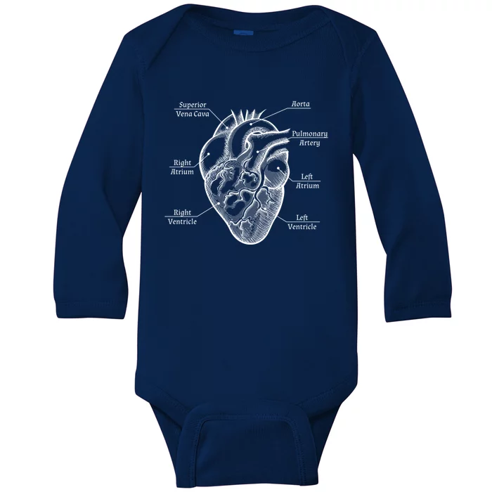 Cardiology Cardiologist Heart Anatomy Distressed Gift Baby Long Sleeve Bodysuit