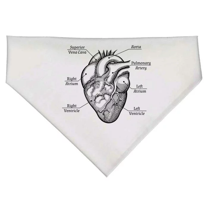 Cardiology Cardiologist Heart Anatomy Distressed Gift USA-Made Doggie Bandana