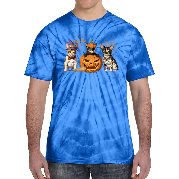 Cute Cat Halloween Witch Mummy Pumpkin Funny Cat Lover Gift Tie-Dye T-Shirt