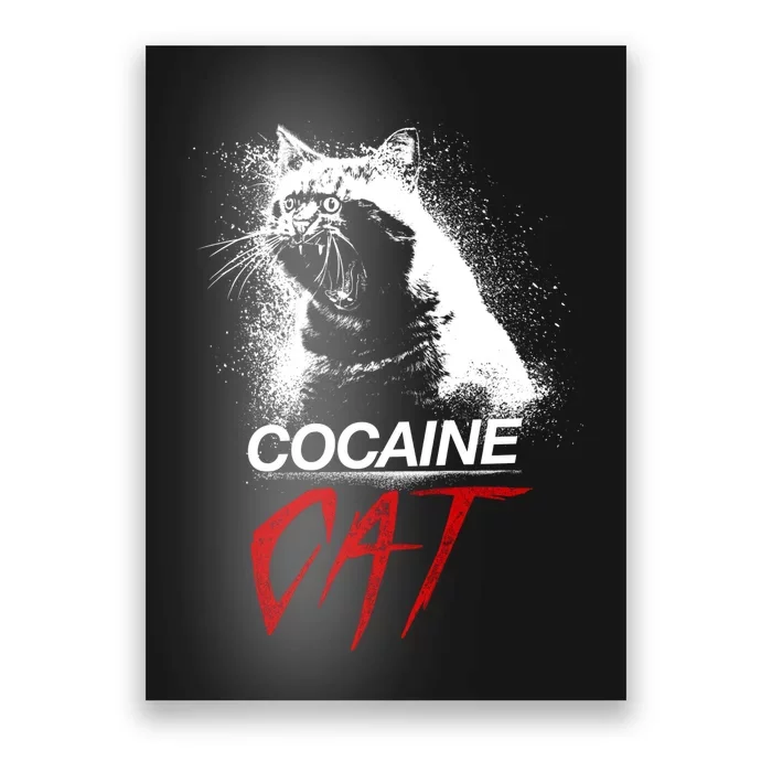 Cocaine Cat Horror Cat Poster