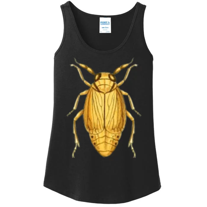 Cicada Ladies Essential Tank