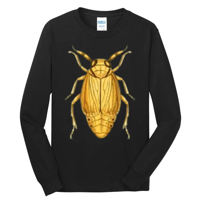 Cicada Tall Long Sleeve T-Shirt