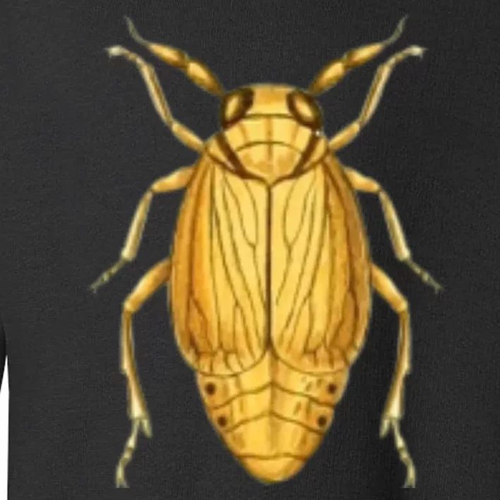 Cicada Toddler Sweatshirt