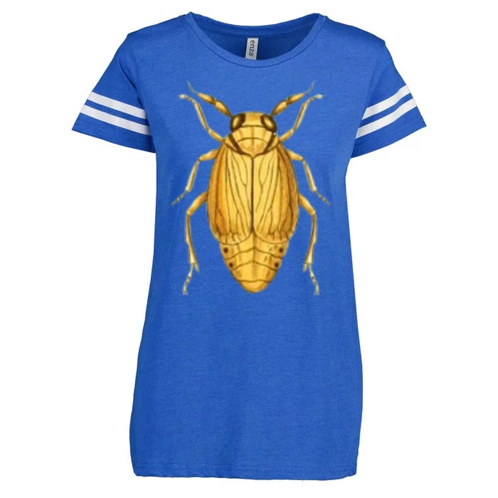 Cicada Enza Ladies Jersey Football T-Shirt