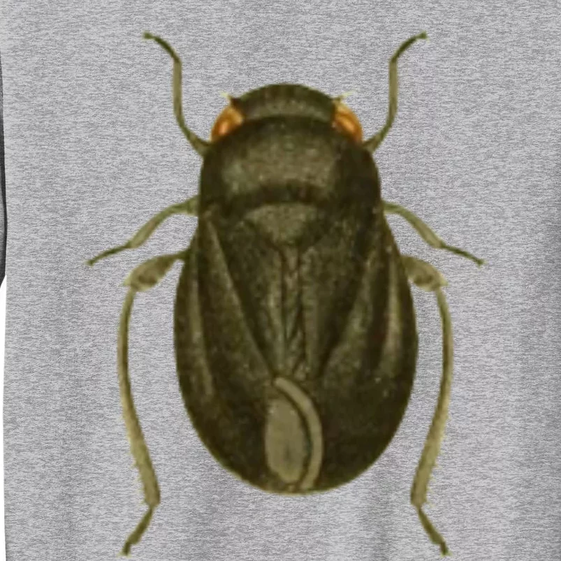 Cicada Tall Sweatshirt