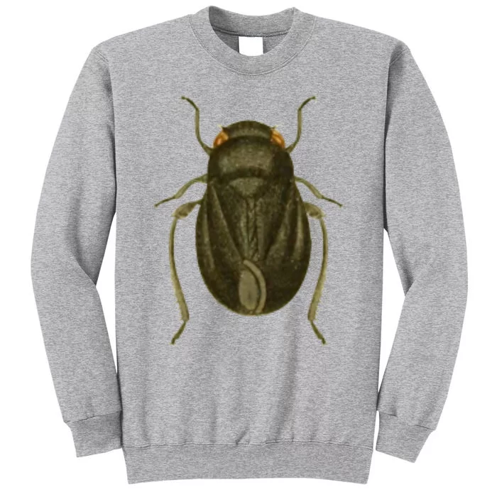 Cicada Tall Sweatshirt