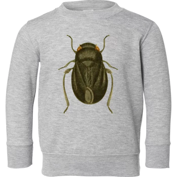 Cicada Toddler Sweatshirt