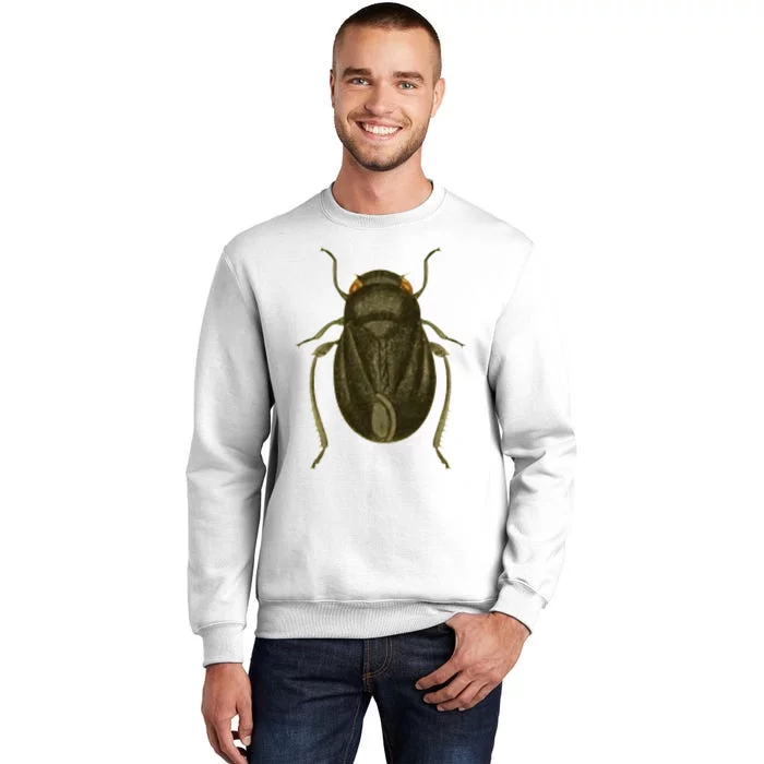 Cicada Sweatshirt