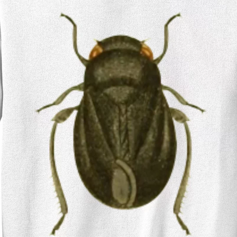 Cicada Sweatshirt