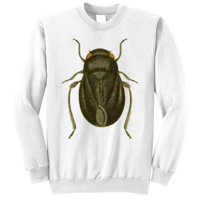 Cicada Sweatshirt