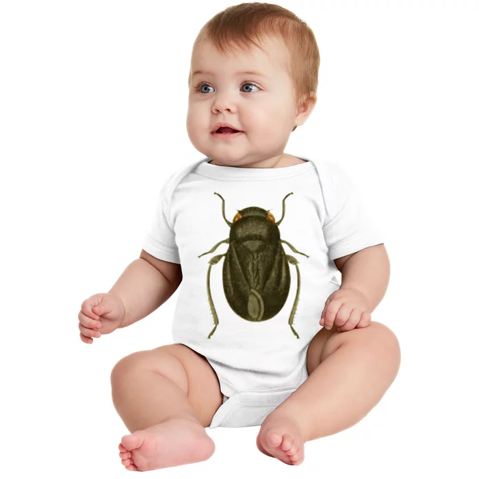 Cicada Baby Bodysuit