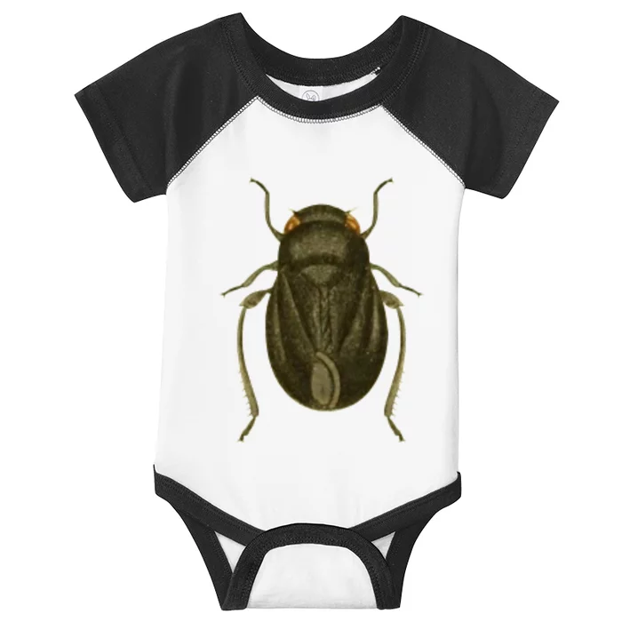 Cicada Infant Baby Jersey Bodysuit