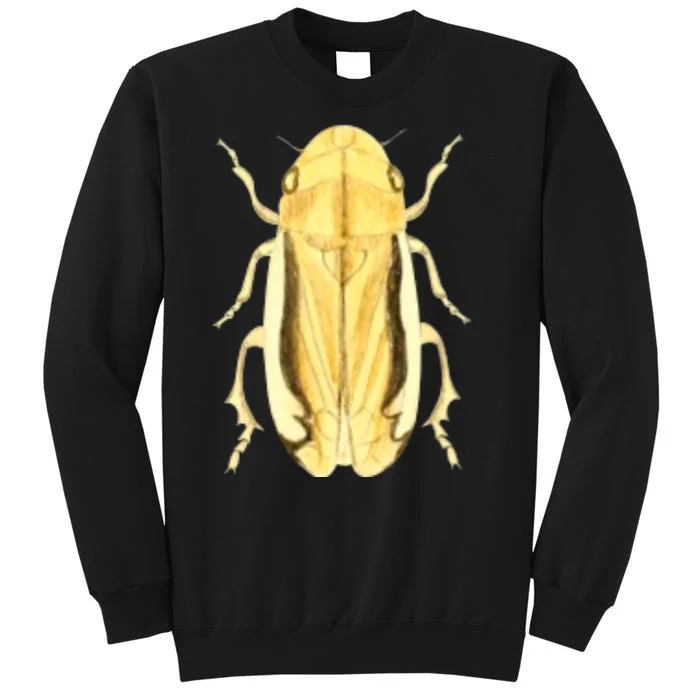 Cicada Sweatshirt