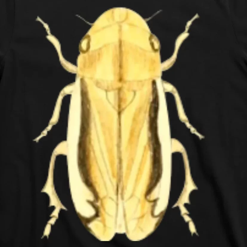 Cicada T-Shirt