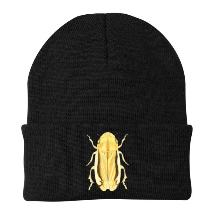 Cicada Knit Cap Winter Beanie