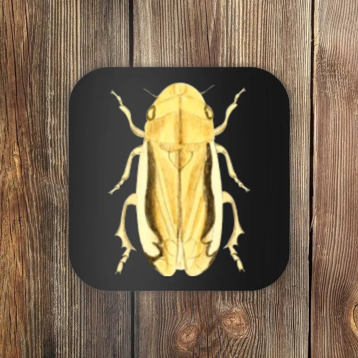 Cicada Coaster