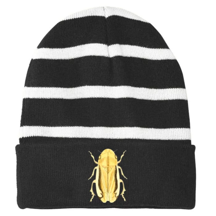 Cicada Striped Beanie with Solid Band