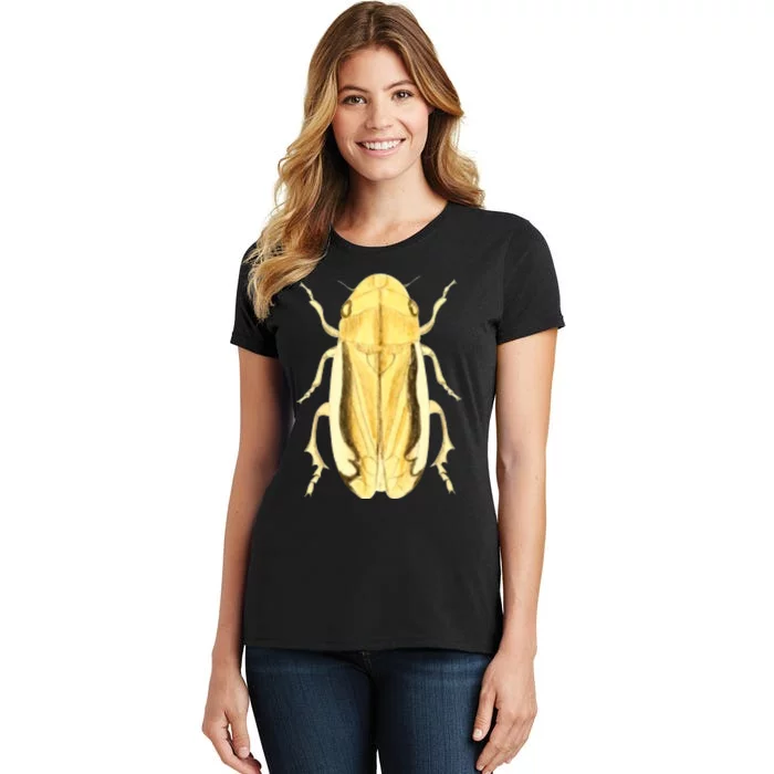 Cicada Women's T-Shirt